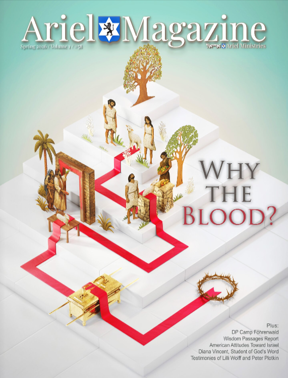 Why the Blood?