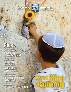 A small slice of suffing