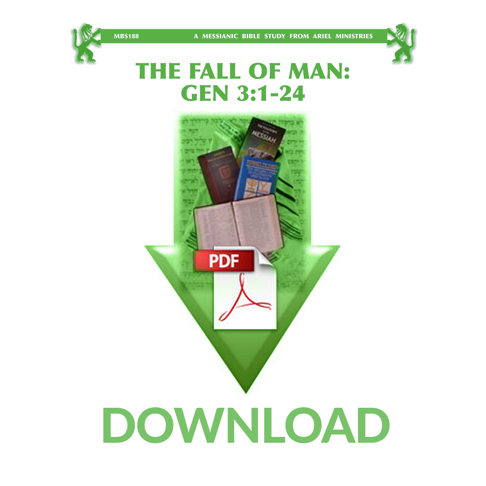 MBS188 The Fall Of Man: Gen 3:1-24